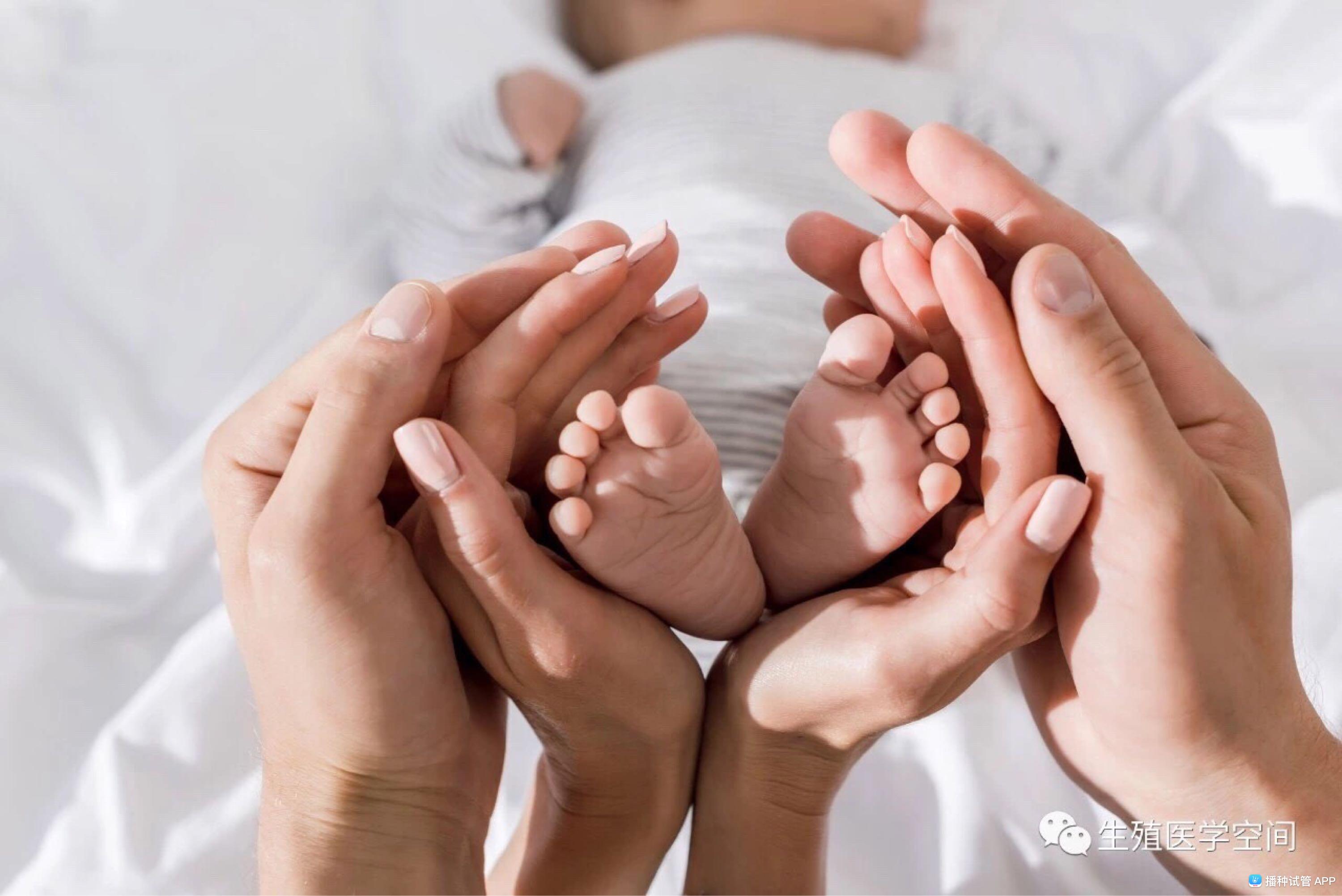 试管婴儿前期营养补充方案