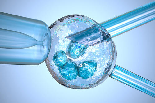 试管婴儿前期必要检查项目解读